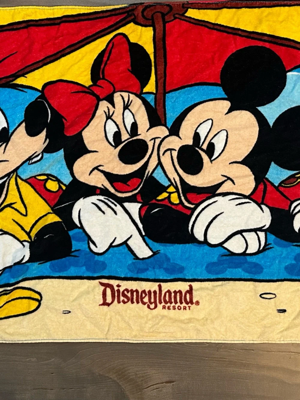Disney fun summer